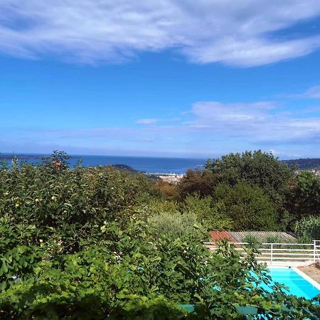 Apartments Ficur With Swimming Pool & Grill, Πορτορόζ Εξωτερικό φωτογραφία